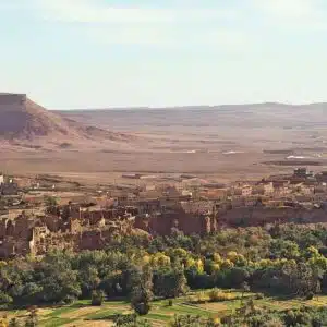 Special Spring Itinerary (Single)