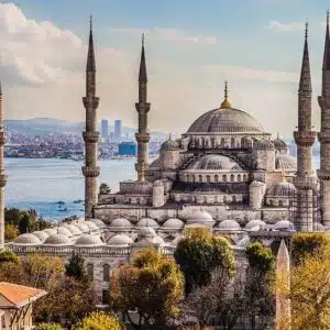 12 DAYS OF TURKEY (Single)