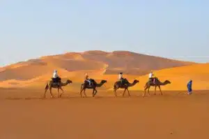 Diving in the Colorful Moroccan Cities (Single)