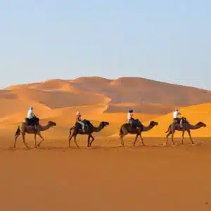 Diving in the Colorful Moroccan Cities (Double)