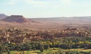 Special Spring Itinerary (Single)