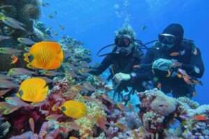 Red Sea Diving