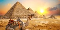 Egypt Tour